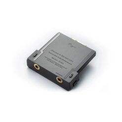 Cayin R202 Audio Motherboard
  with R2R and 1Bit DAC